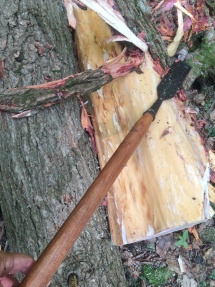 Peeling logs