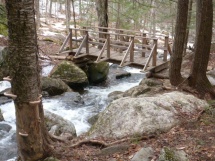 Short bridge