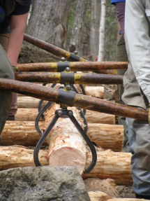 Timber carriers_II
