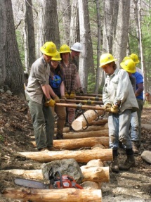 Timber carriers_ready to set