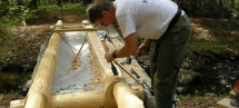 Web-image-4