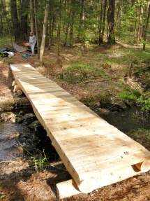 Small hemlock backcountry style bridge