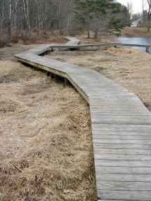 Old boardwalk