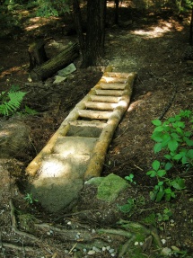 Hemlock timber steps