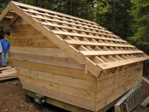 New shelter