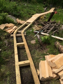Single track boardwalk