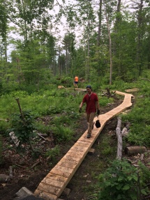 Single track boardwalk