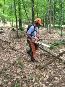 Clearing trail corridor