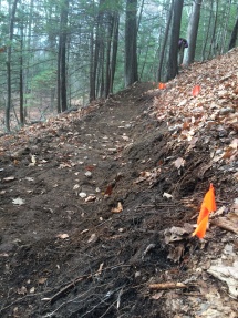 Flagged trail nearing completion