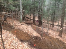New trail recently finished