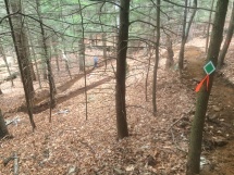 New trail
