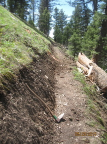 Trail reconstruction