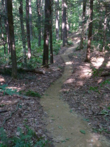 New singletrack trail.