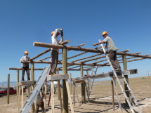 Framing shade structures.