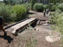 Puncheon bridge for horse packers.