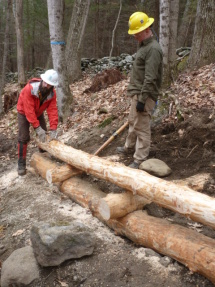 Log fitting
