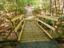 Gravity Cavity bridge