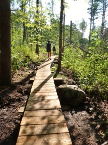 Boardwalk for trails.