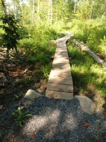 Boardwalk for bike trail.